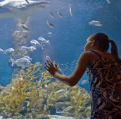 The Aquarium Of Western Australia - Accommodation Burleigh 0