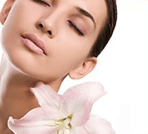 Stephanies Spa Retreat - Accommodation Burleigh