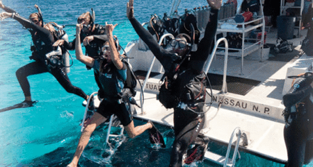 Snorkel Safari Brisbane - Accommodation Burleigh