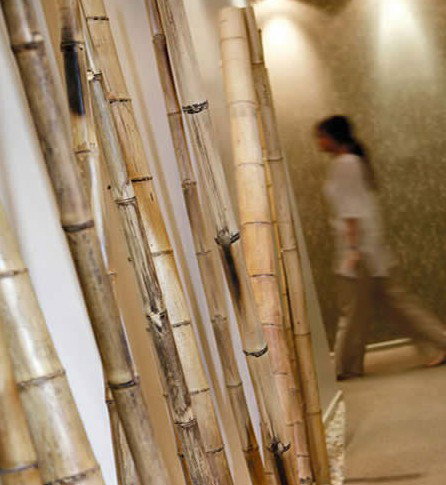 Spa Nirvana - Accommodation Burleigh 0