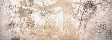 Dianne Tanzer Gallery & Projects - Accommodation Burleigh 3