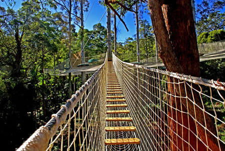 North Tamborine QLD Accommodation Burleigh