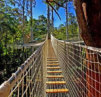 Thunderbird Park - Accommodation Burleigh