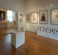 Bird's Gallery - Accommodation Burleigh