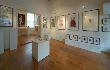 Bird's Gallery - Accommodation Burleigh 0