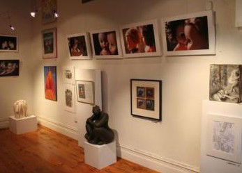 Bird's Gallery - Accommodation Burleigh 2