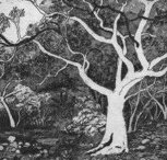 Tacit Contemporary Art - Accommodation Burleigh