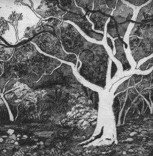 Tacit Contemporary Art - Accommodation Burleigh 0