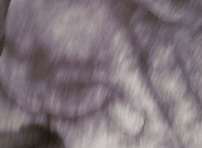 69 Smith Street - Accommodation Burleigh 1