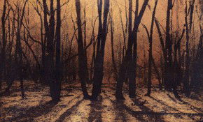 69 Smith Street - Accommodation Burleigh 2