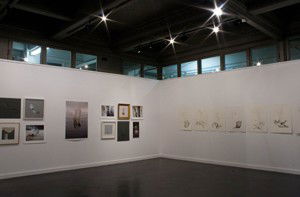 Pigment Gallery - Accommodation Burleigh 1