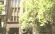 Collins Street Gallery - thumb 0