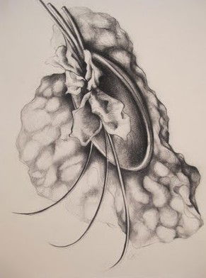 The Library Artspace - Accommodation Burleigh 1