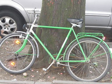 The Library Artspace - Accommodation Burleigh 2