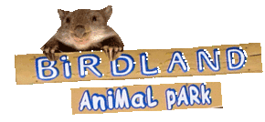 Birdland Animal Park - Accommodation Burleigh 0