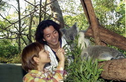 Taronga Zoo - Accommodation Burleigh 2