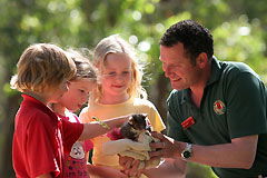 Southern Adelaide SA Accommodation Burleigh