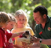 Cleland Wildlife Park - Accommodation Burleigh
