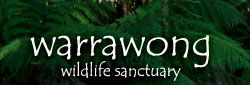 Warrawong Wildlife Park - Accommodation Burleigh 0