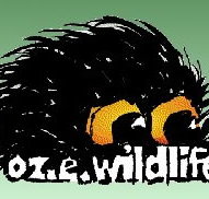OZe Wildlife - Accommodation Burleigh