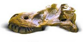 Australia Walkabout Wildlife Park - Accommodation Burleigh 2