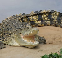 Dundee's Wildlife Park - Accommodation Burleigh