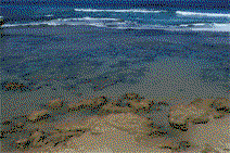 Braddon ACT Accommodation Burleigh