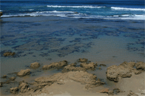 Canberra Contemporary Art Space - Accommodation Burleigh 0