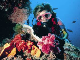Gold Coast Seaway Dive Site - Accommodation Burleigh 0