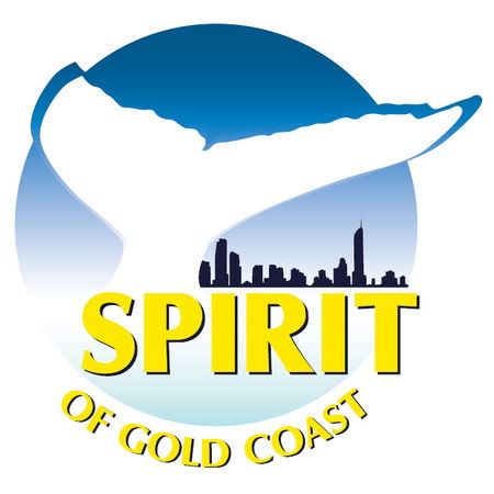 Spirit Of Gold Coast Whale Watching - Accommodation Burleigh 0