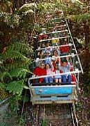 Scenic World Blue Mountains - Accommodation Burleigh 2