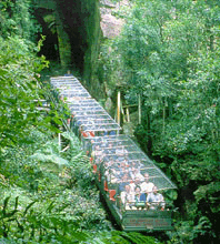 Scenic World Blue Mountains - Accommodation Burleigh 3