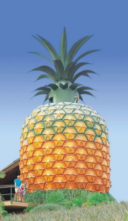 The Big Pineapple - Accommodation Burleigh 0
