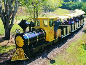 The Big Pineapple - Accommodation Burleigh 1