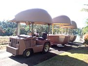 The Big Pineapple - Accommodation Burleigh 2