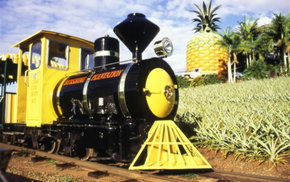 The Big Pineapple - Accommodation Burleigh 3