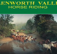 Glenworth Valley Horseriding - Accommodation Burleigh