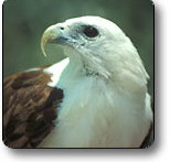 Kakadu National Park - Accommodation Burleigh