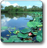 Kakadu National Park - Accommodation Burleigh 3
