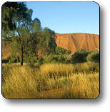 Uluru - Kata Tjuta National Park - Accommodation Burleigh 0