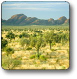 Uluru - Kata Tjuta National Park - Accommodation Burleigh 2