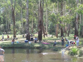 Buxton Trout And Salmon Farm - Accommodation Burleigh 3