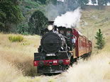 Storeyline Tours - Accommodation Burleigh 2
