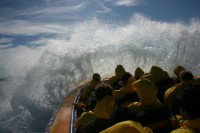 Jetboating Sydney - Accommodation Burleigh 1