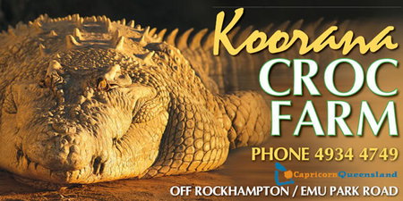 Koorana Saltwater Crocodile Farm - Accommodation Burleigh 0