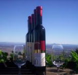 Mount Tamborine Winery  Homestead - Accommodation Burleigh