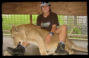 Cairns Wildlife Safari Reserve - Accommodation Burleigh 1