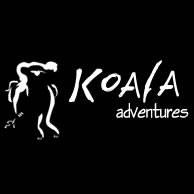 Koala Adventures - Accommodation Burleigh 0