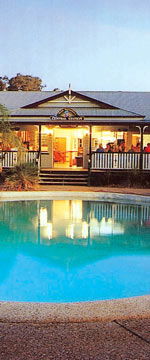 Koala Adventures - Accommodation Burleigh 2