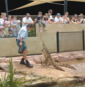 Symbio Wildlife Gardens - Accommodation Burleigh 3